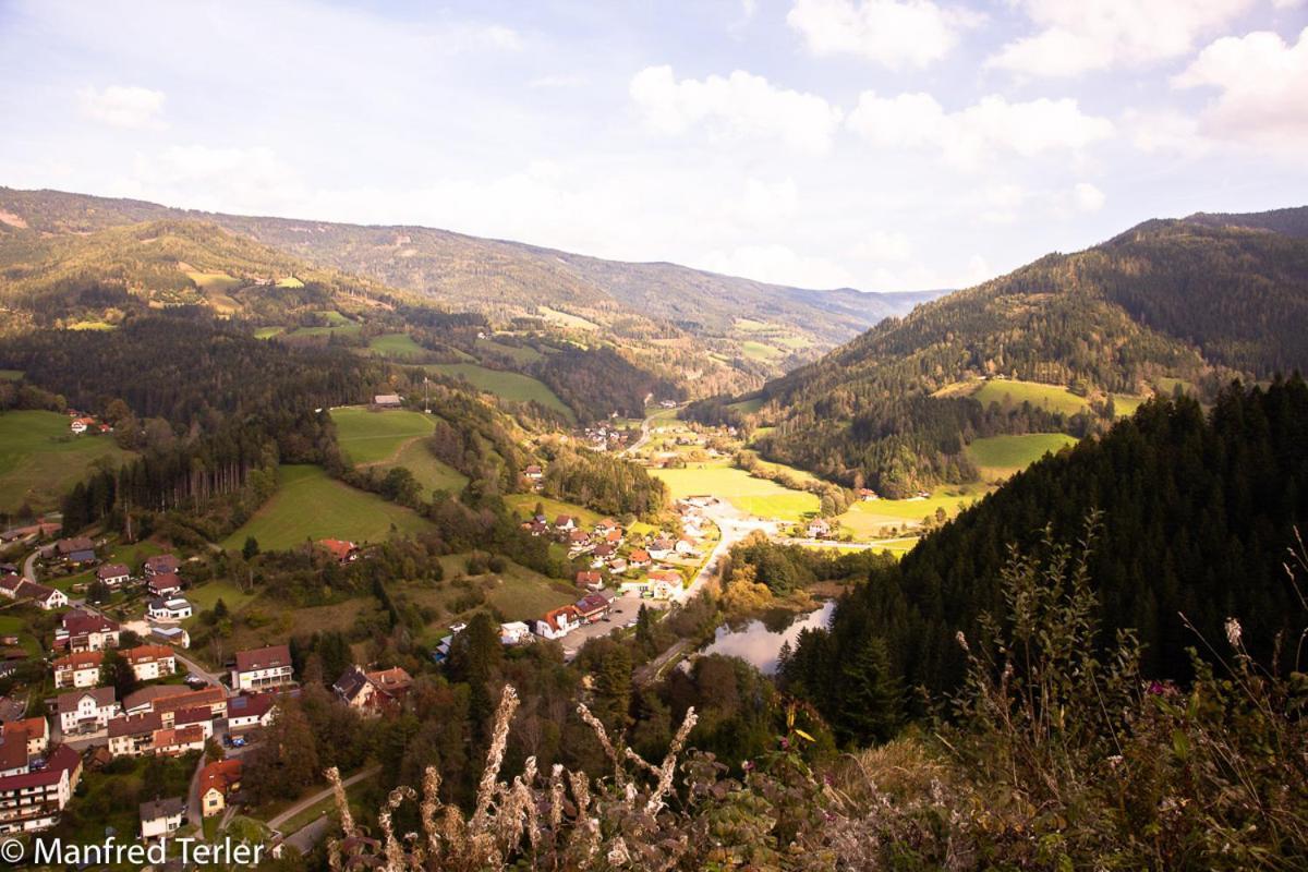 Ferienwohnung Am Sonnenweg Stanz Im Murztal 外观 照片